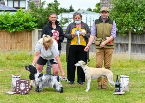 Emily Bircham fun Dog Show