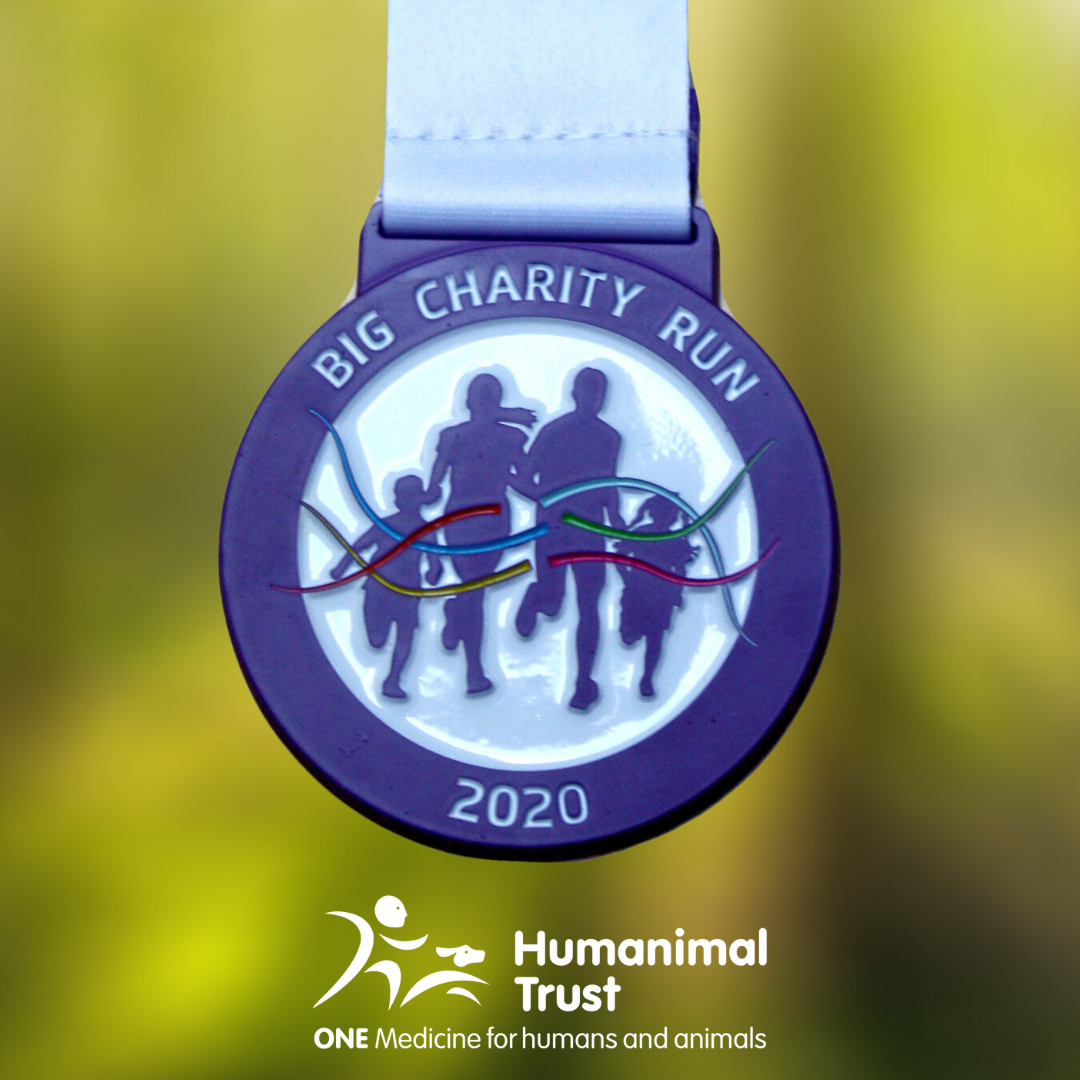 Big Charity Run medal